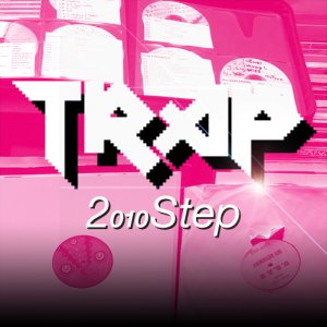 2010Step cover